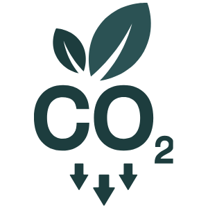 CO2 reduction icon big