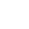 Linkedin icon